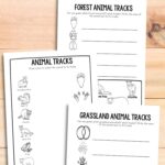Three Animal Tracks Printables on a table