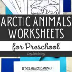 Arctic Animals Worksheets for Preschool