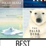 Best Polar Bear Picture Books