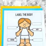 Body Parts Worksheet for Kindergarten on a table