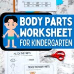 Two images of Body Parts Worksheets for Kindergarten on a table