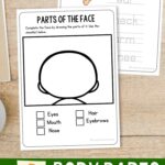Two Body Parts Worksheets for Kindergarten on a table