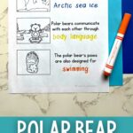 Polar Bear Worksheets for Kindergarten