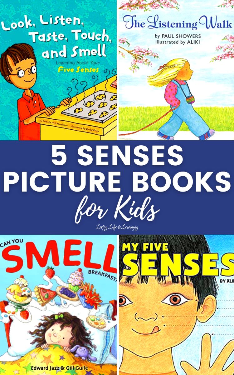 5 Senses Picture Books for Kids
