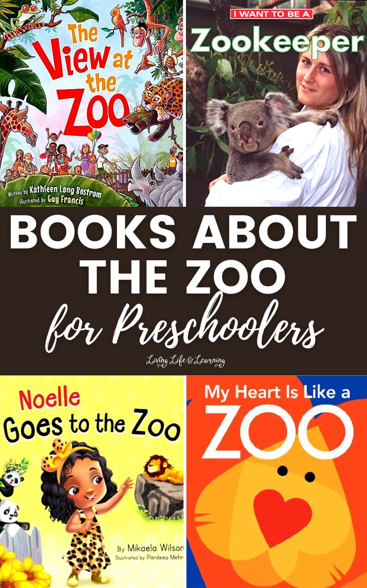 Books About The Zoo for Preschoolers