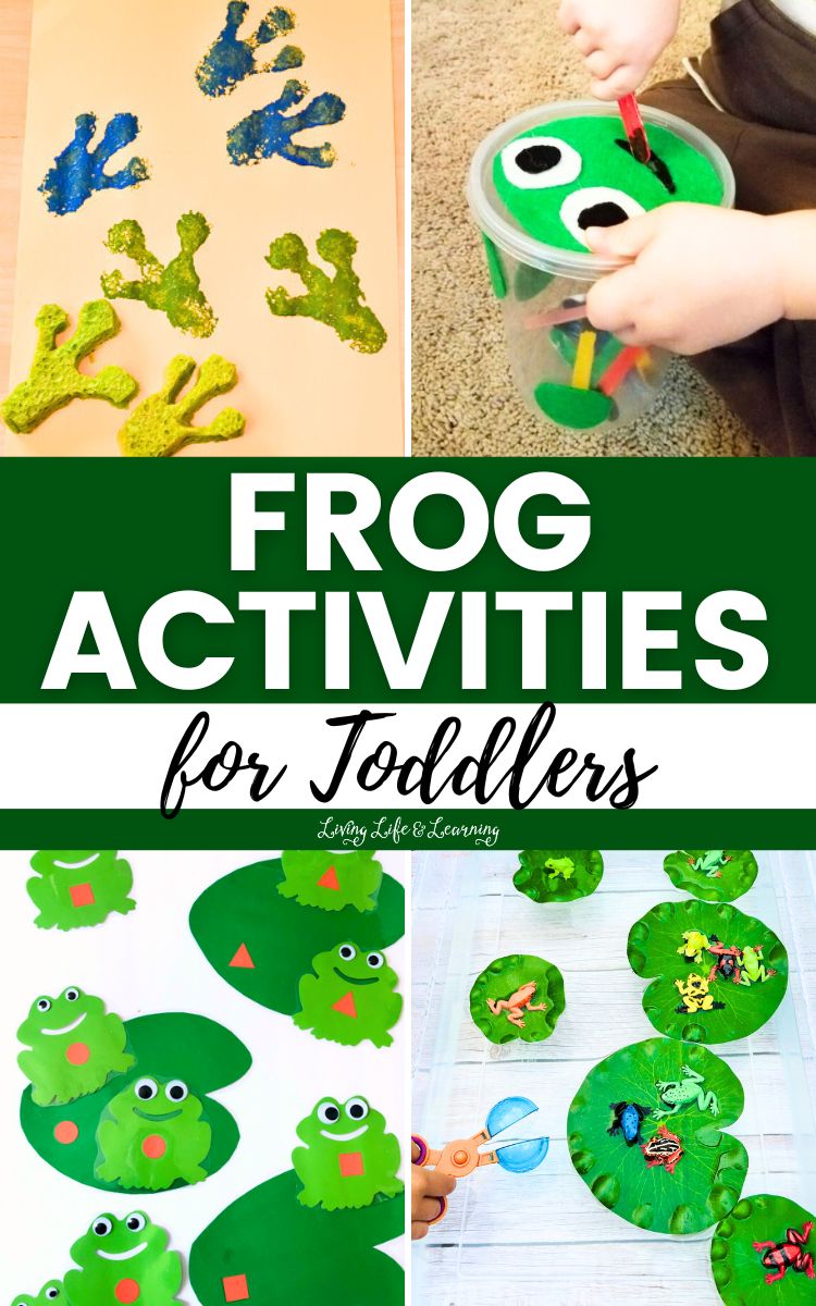 Frog Activities for Toddlers
