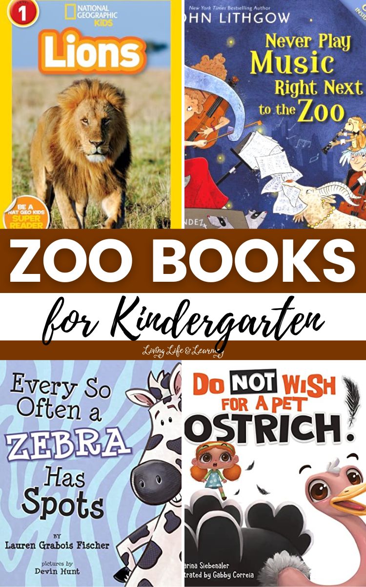 A collage of Zoo Books for Kindergarten