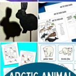 A collage of Arctic Animal Activities for First Grade