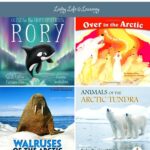 Picture Books About the Arctic