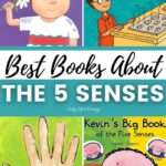 Best Books About the 5 Senses