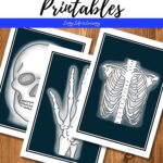 X-ray Printables