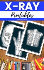 X-ray Printables