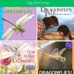 Dragonfly Books for Kids