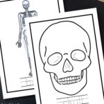 X-ray Coloring Pages