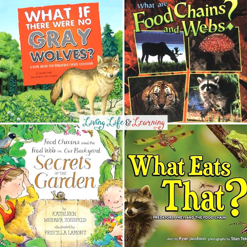 A collage of Food Chain Books for Kids.