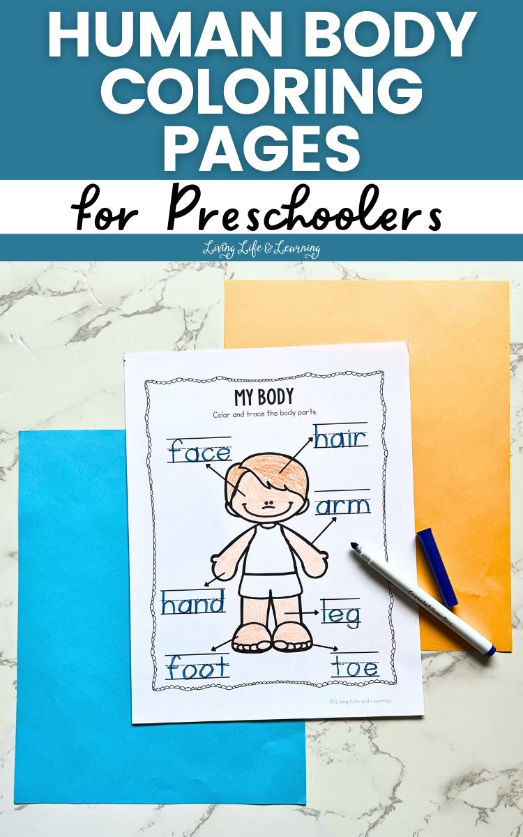 Human Body Coloring Pages for Preschoolers