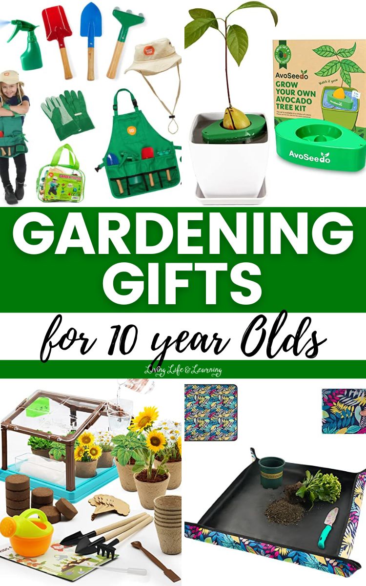 A collage of Gardening Gifts for 10 year Olds