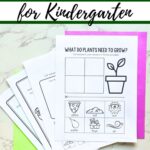 Four Plants Worksheets for Kindergarten on a table.