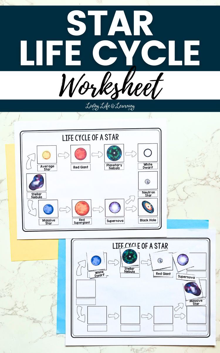 Two Star Life Cycle Worksheets on a table