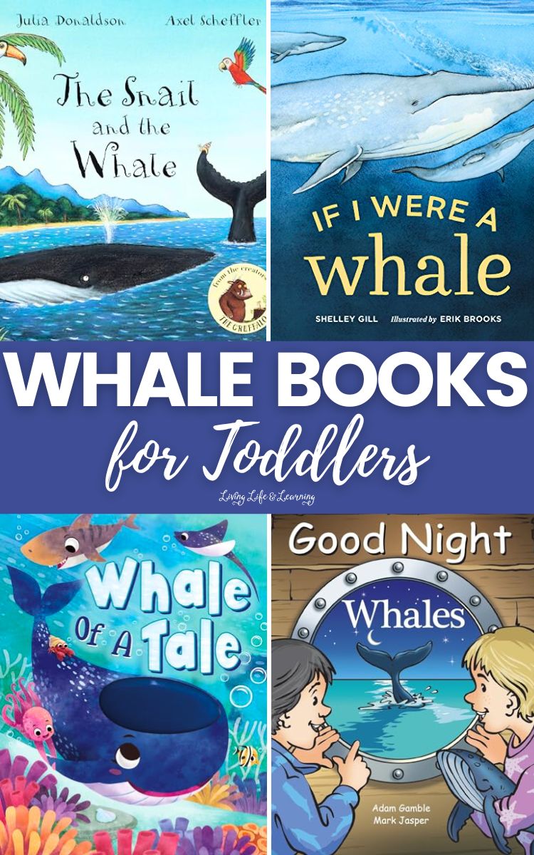 Whale Books for Toddlers