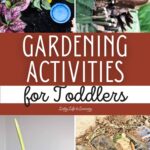 Gardening Activities for Toddlers