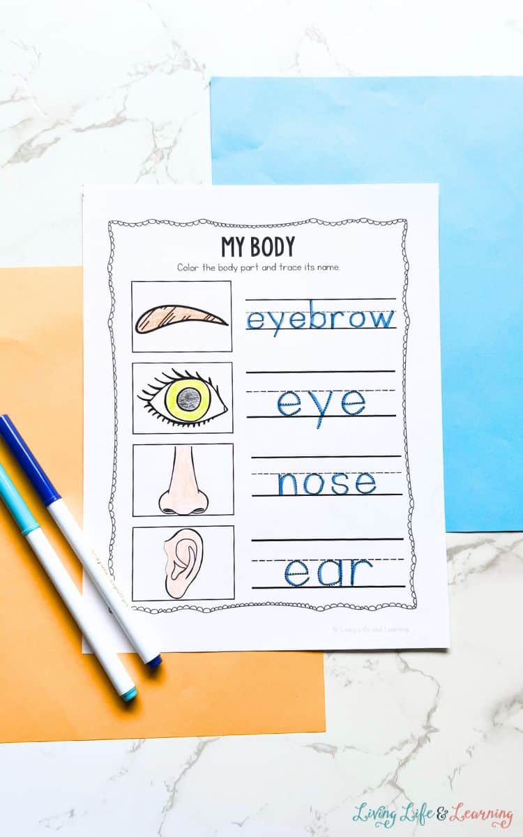 The coloring and tracing activity included in the Human Body Coloring Pages for Preschoolers