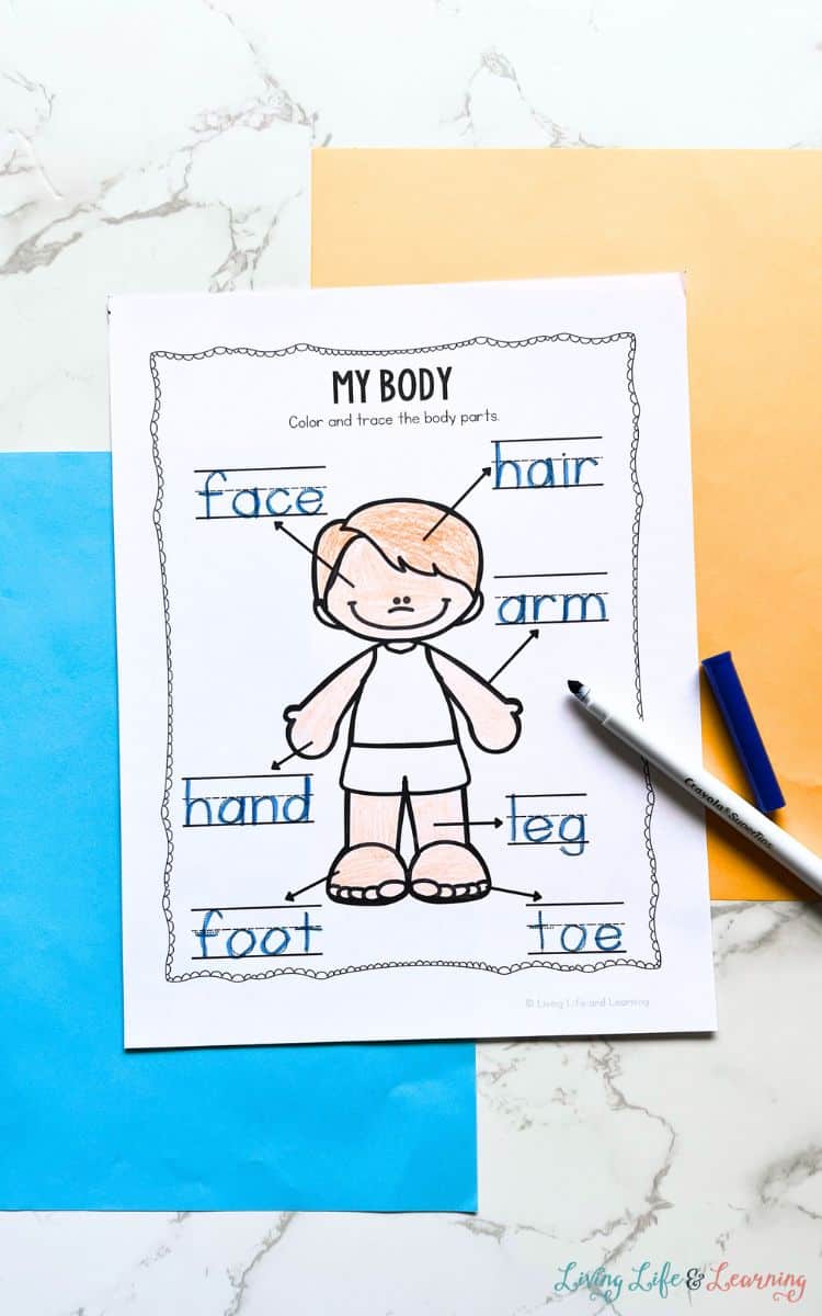 A page from the Human Body Coloring Pages for Preschoolers