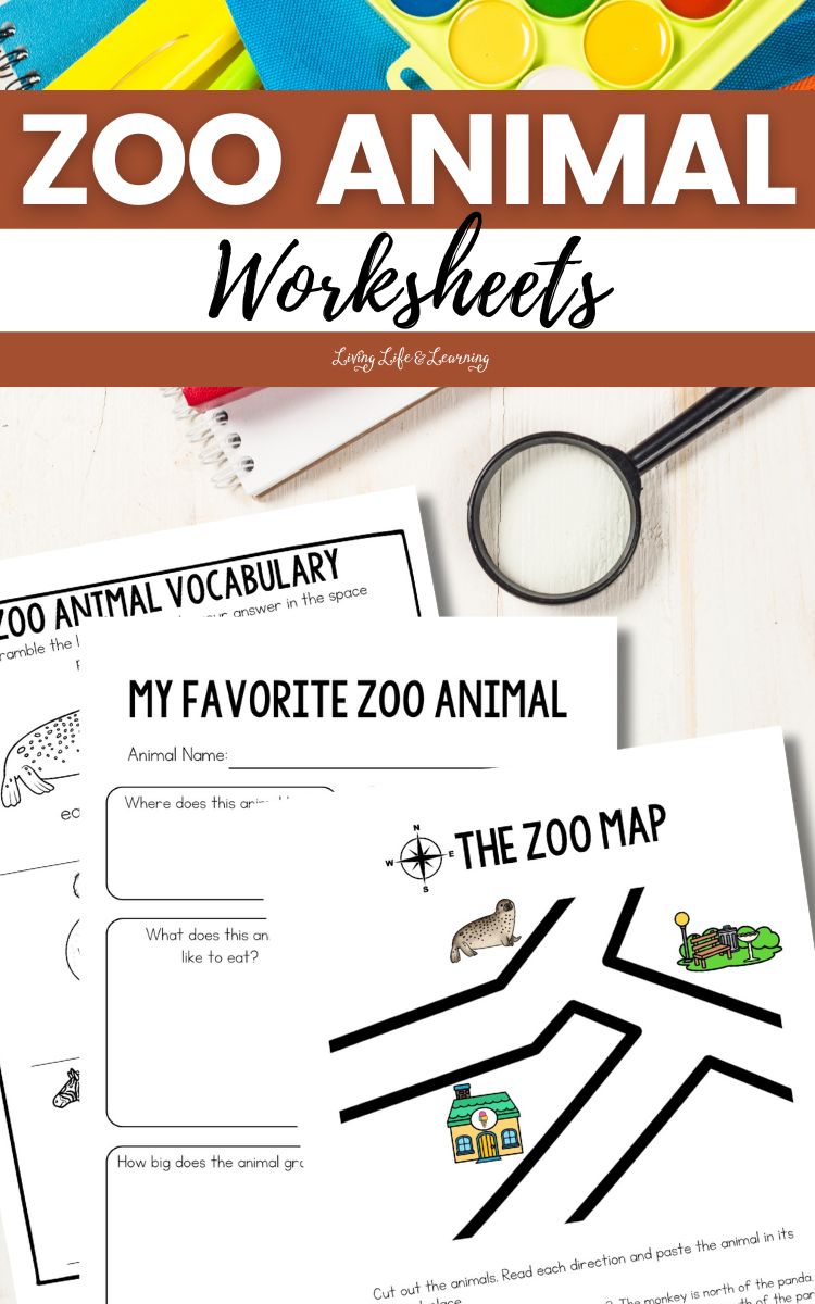 Zoo Animal Worksheets
