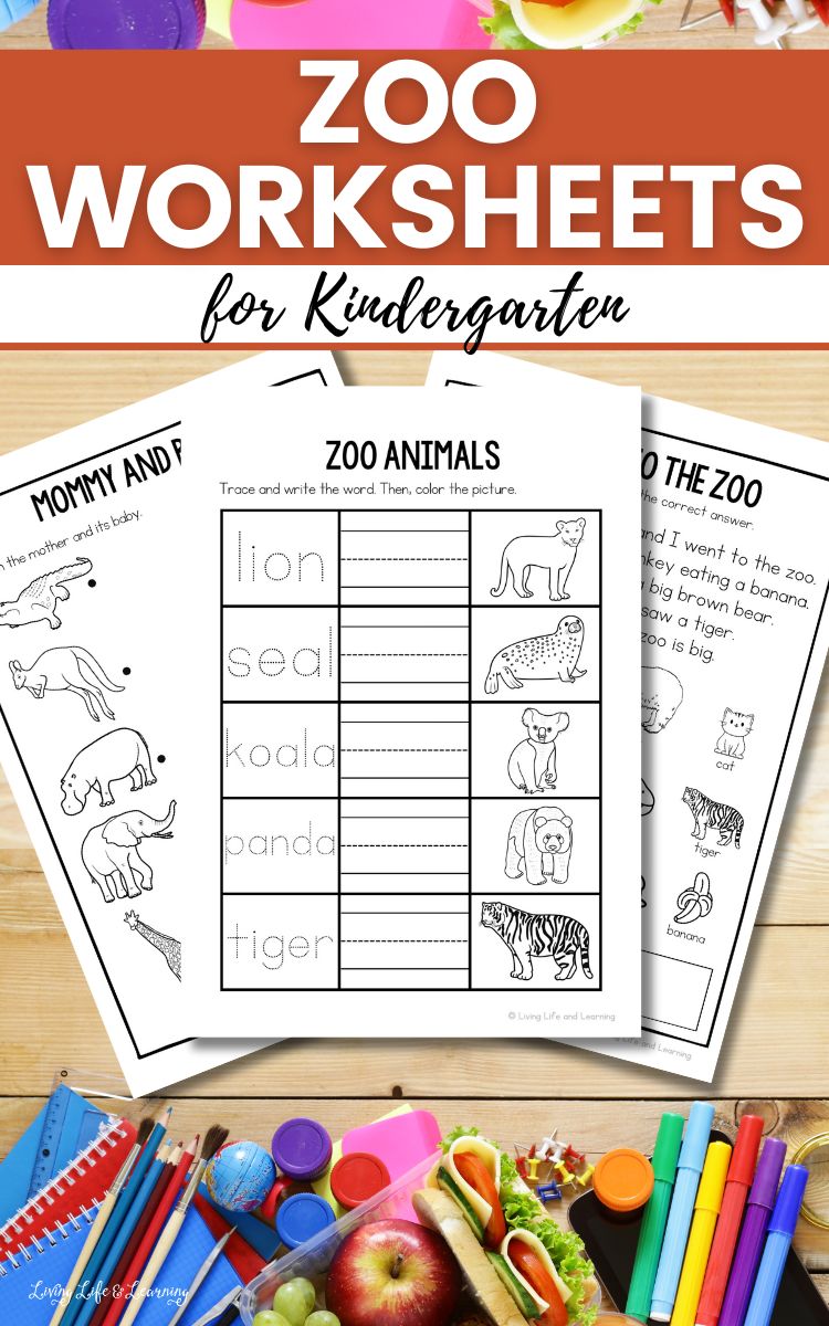 Zoo Worksheets for Kindergarten