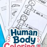Human Body Coloring Pages for Preschoolers on a table