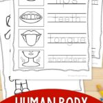 Three Human Body Coloring Pages for Preschoolers on a table