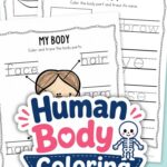 Four pages from the Human Body Coloring Pages for Preschoolers