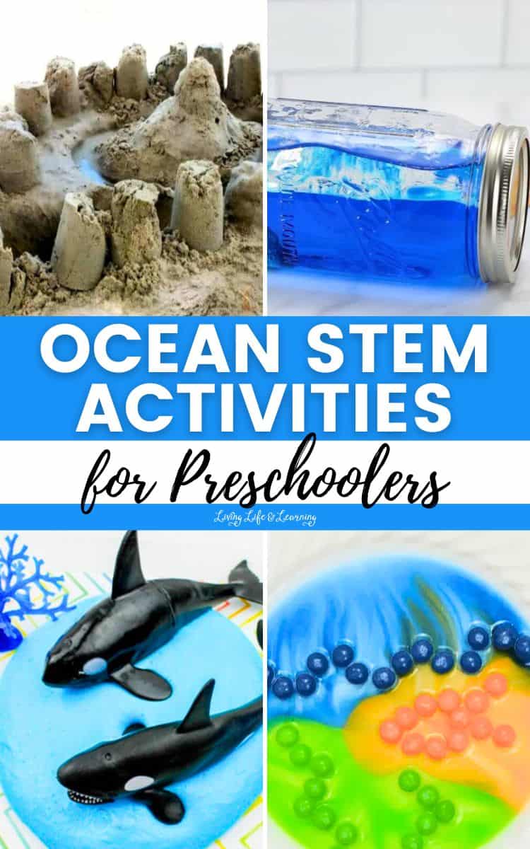 collage of Ocean STEM Activities for Preschoolers