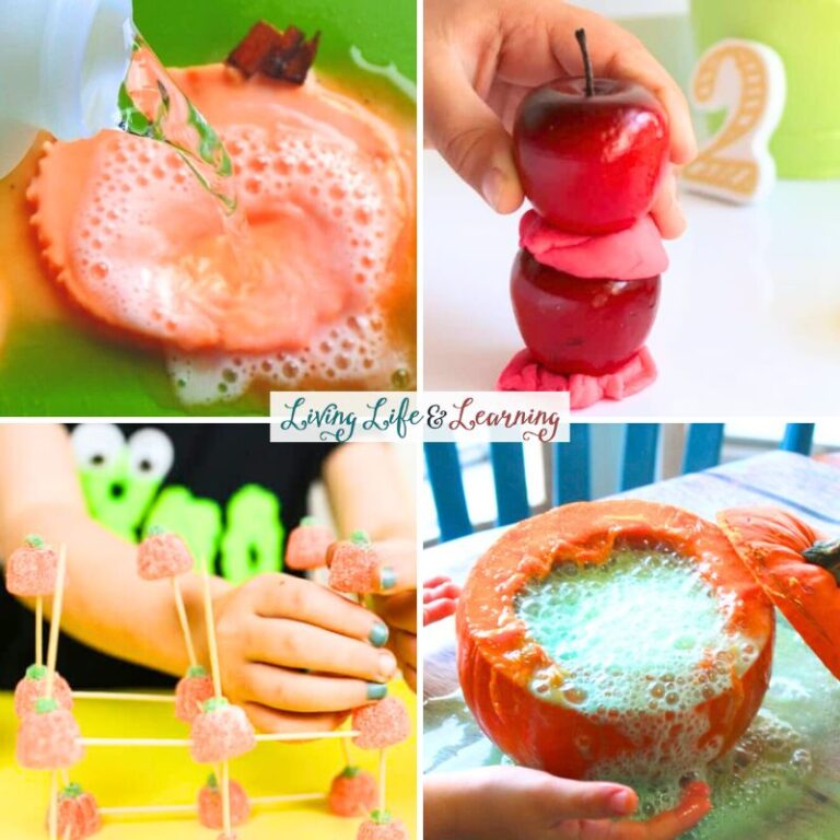 Fun Fall STEM Activities for Elementary Students to Explore