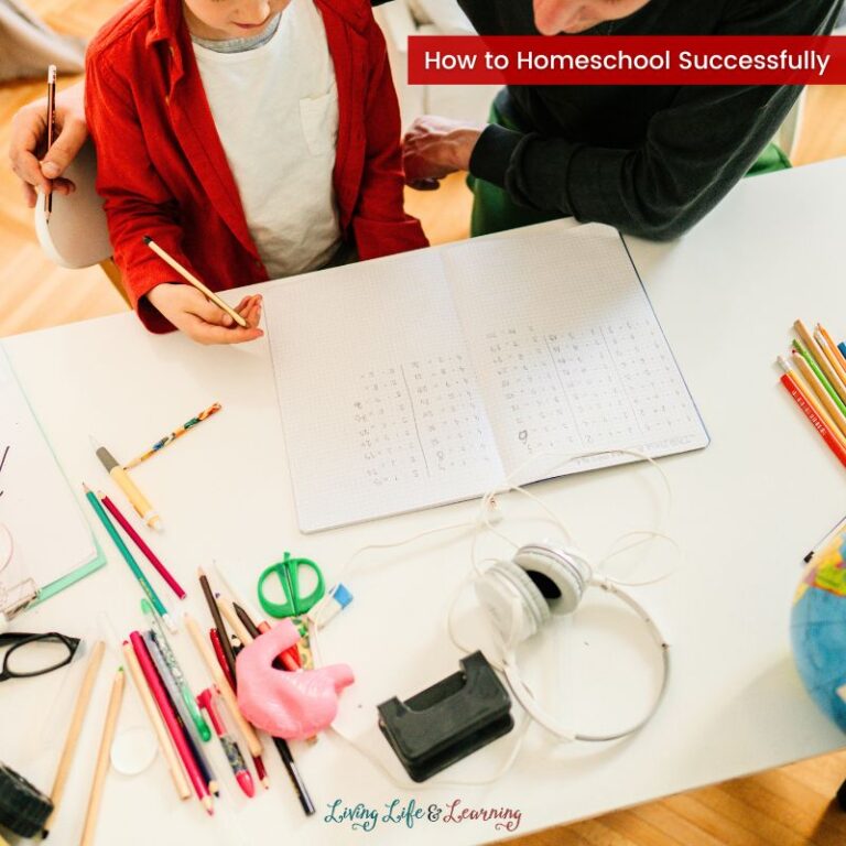 How to Homeschool Successfully: Useful Tips and Ideas