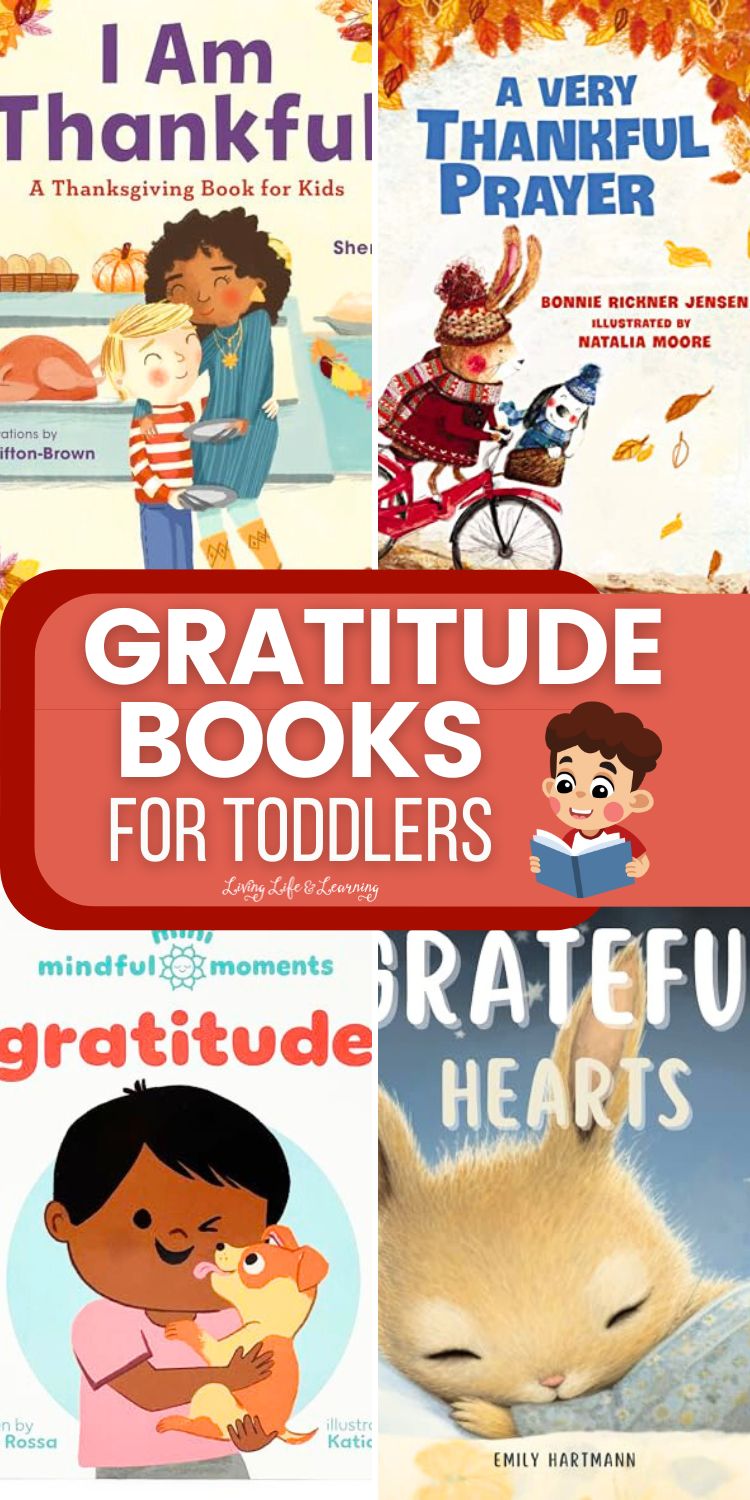 Gratitude Books for Toddlers: Instilling Appreciation and Kindness