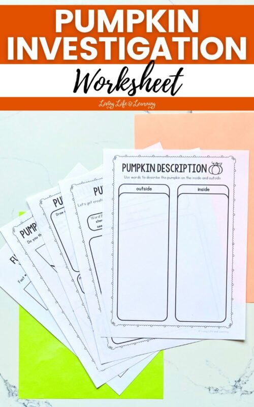 Fun and Interactive Pumpkin Investigation Worksheet for Kids