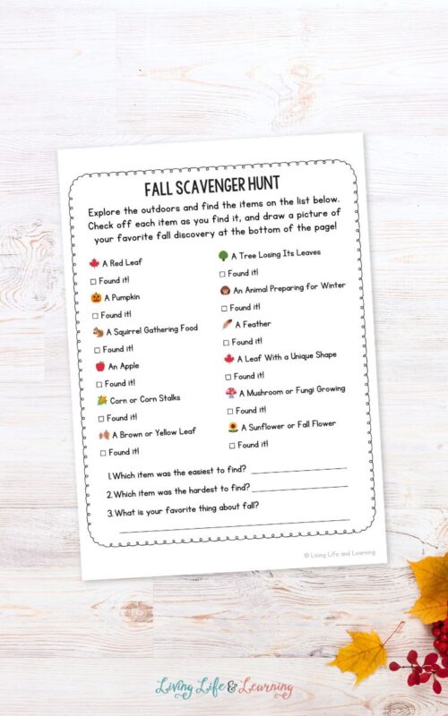 Fall Worksheets for Elementary Students to Enjoy