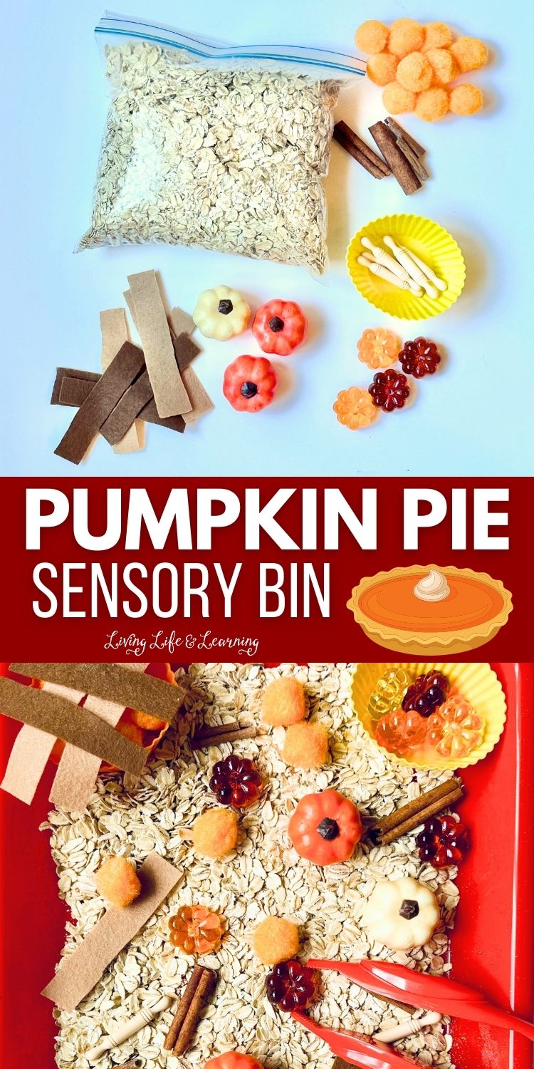 Engage Your Senses with a Pumpkin Pie Sensory Bin