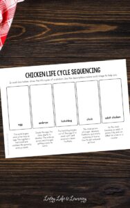 Chicken Worksheets to Explore Farm Life Education