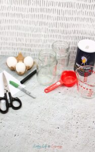 Floating Egg Science Experiment : Learning About Density at Home