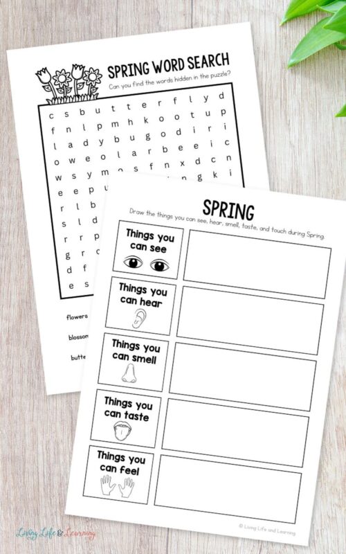 Spring Activity Sheets: Fun Learning for Spring Season
