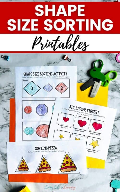 Shape Size Sorting Printables for Vocabulary and Early Math Skills
