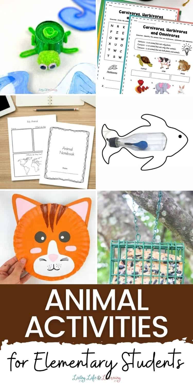 Animal Activities for Elementary Students: Fun Life Science Ideas
