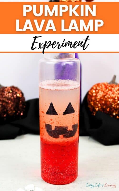Pumpkin Lava Lamp Experiment: Simple Science Project