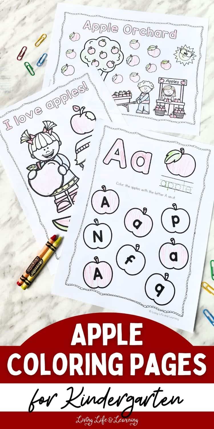 Apple Coloring Pages for Kindergarten Fun Learning