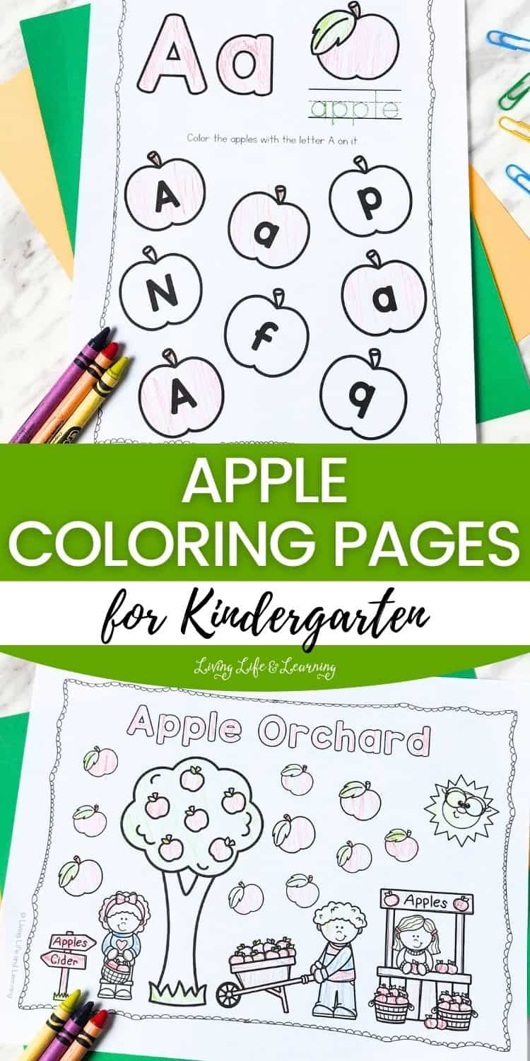 Apple Coloring Pages for Kindergarten Fun Learning