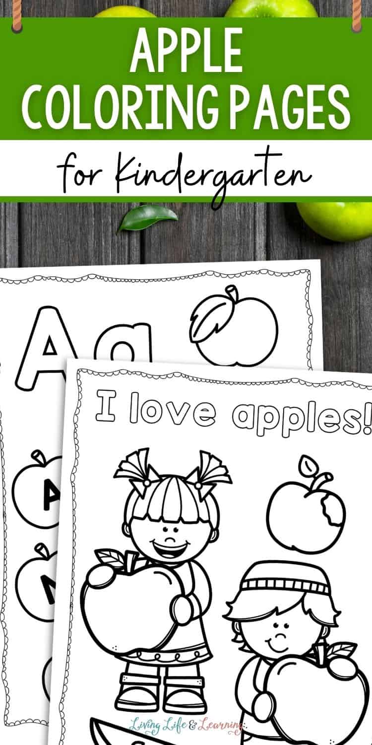 Apple Coloring Pages for Kindergarten Fun Learning
