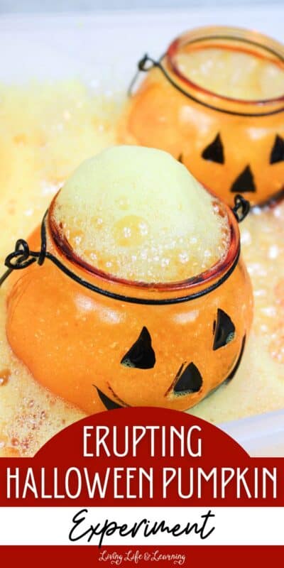 The final result of the Erupting Halloween Pumpkin Experiment