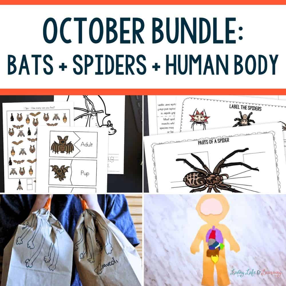 Monster Science Experiments: Hands-On Learning This Halloween